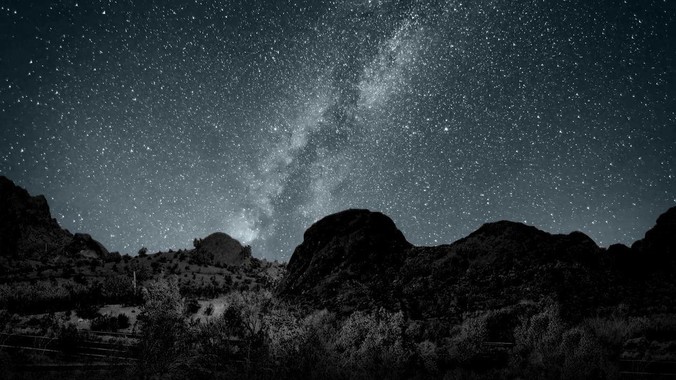 是去干程序员还是公务员?