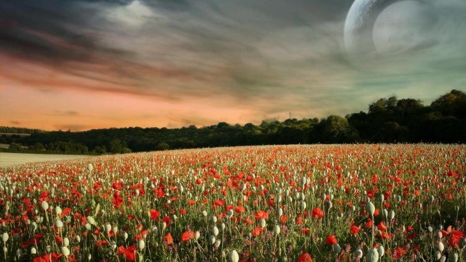 为什么日本人室内光脚啊？他们屋子里有这么干净吗？